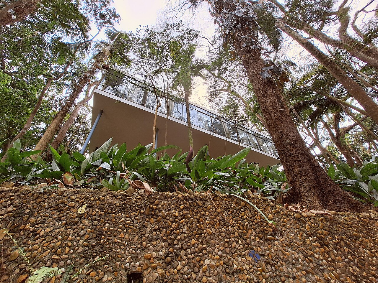 Casa de Vidro elevada sobre pilares entre la vegetación de Morumbi